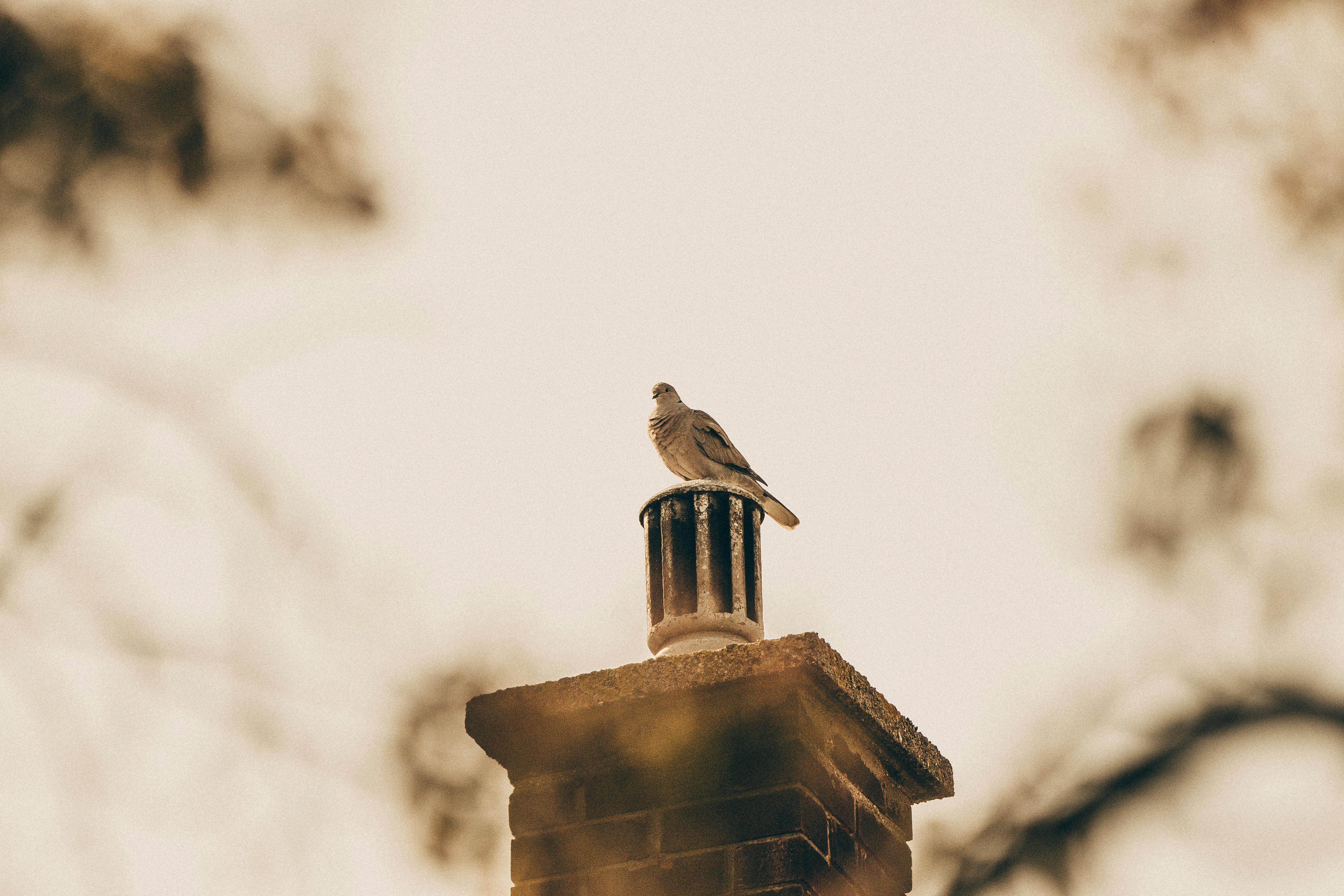 Professional Chimney Cap Installation Services in Simi Valley, CA Expert Chimney Cap Installation in Simi Valley, California